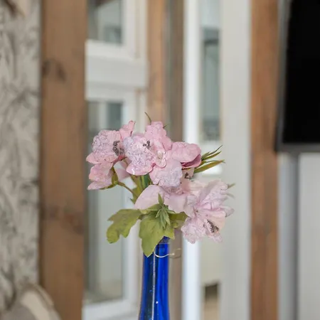 Puerto Rico A 2 Minutos De La Playa *